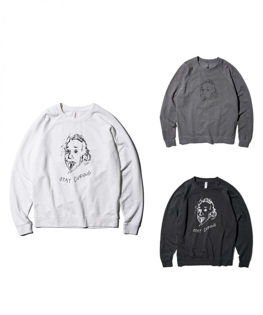 "STAY CURIOUS" RAGLAN CREW SWEAT